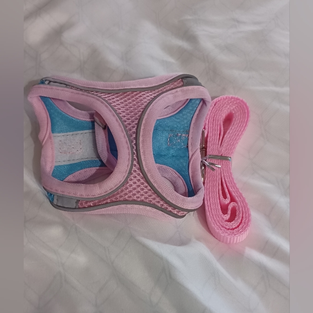 Cat Harness and Leash
